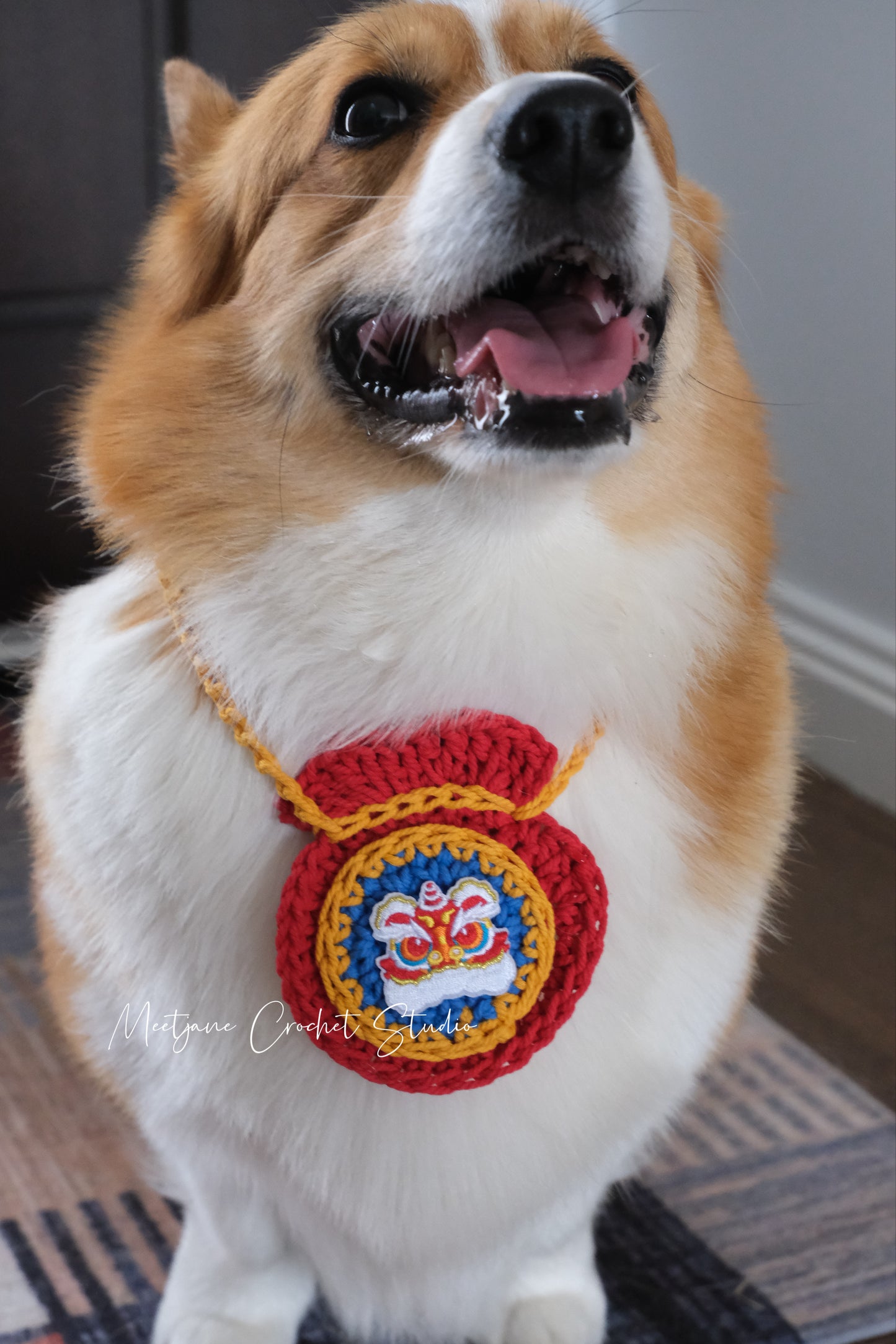 LIMITED EDITION|2025Chinese New Year pet collar|gift for dog|gift for cat