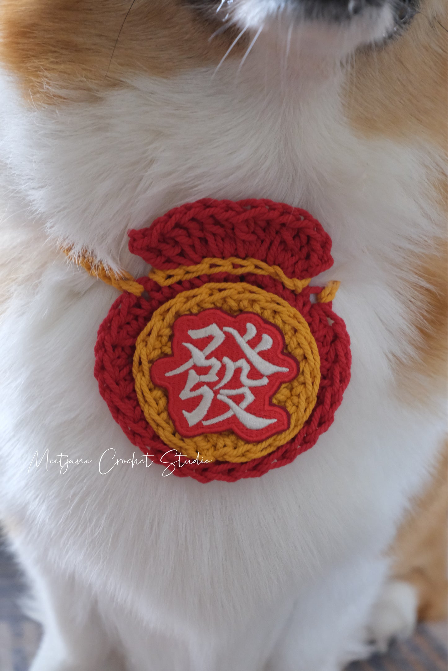 LIMITED EDITION|2025Chinese New Year pet collar|gift for dog|gift for cat