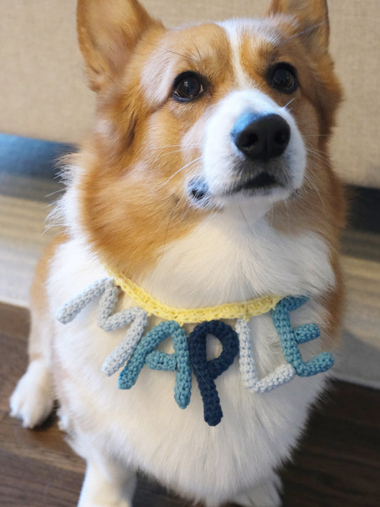 Custom 3D Crochet Name Collar – For Dogs & Cats|Gift for pet|Melbourne crochet studio