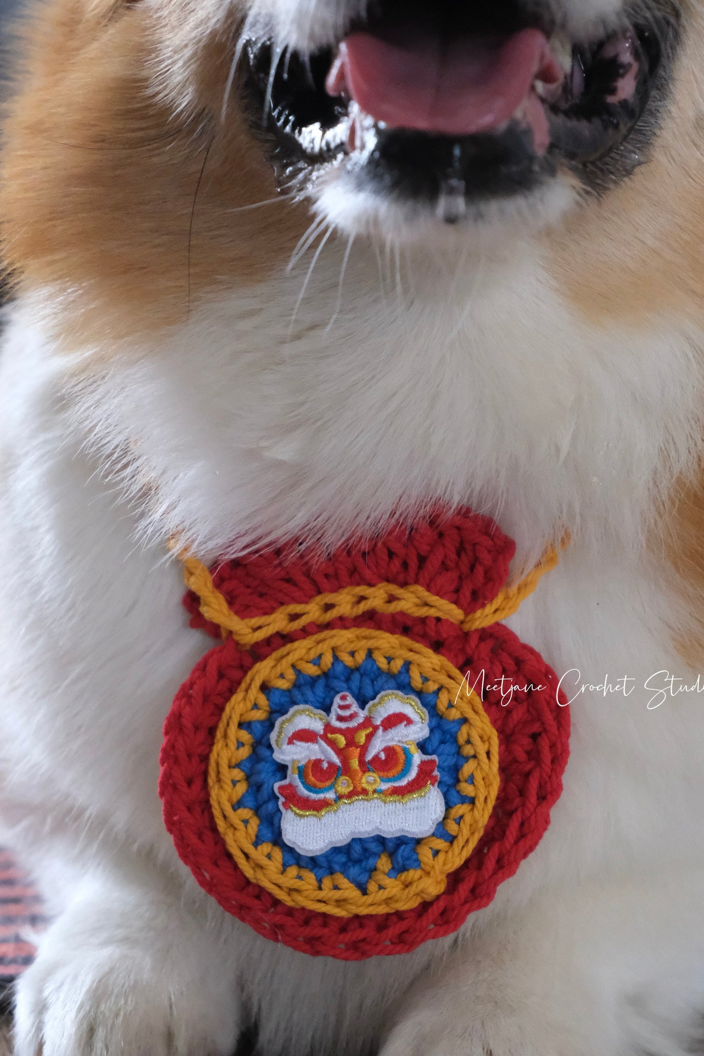 LIMITED EDITION|2025Chinese New Year pet collar|gift for dog|gift for cat