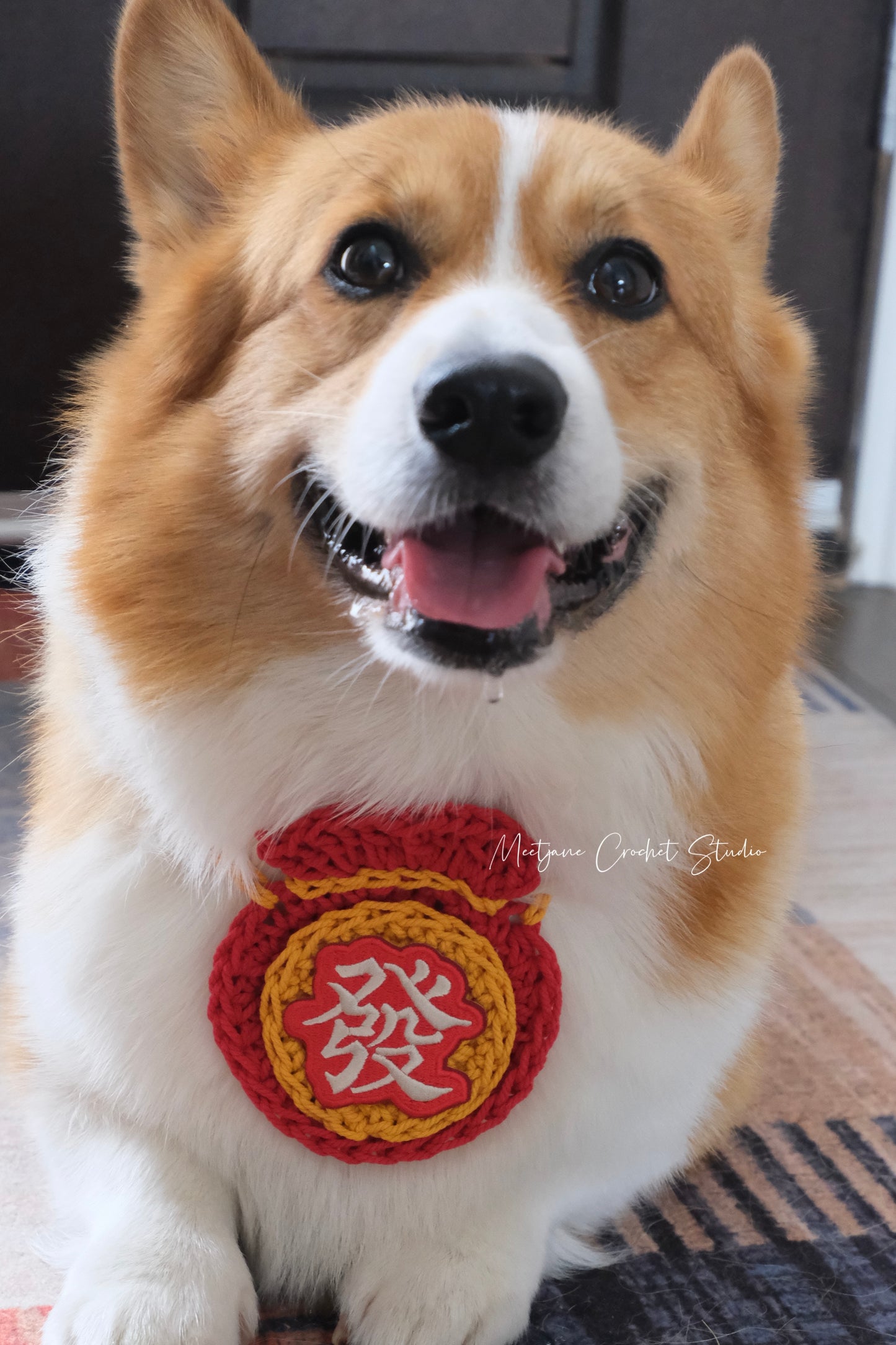 LIMITED EDITION|2025Chinese New Year pet collar|gift for dog|gift for cat