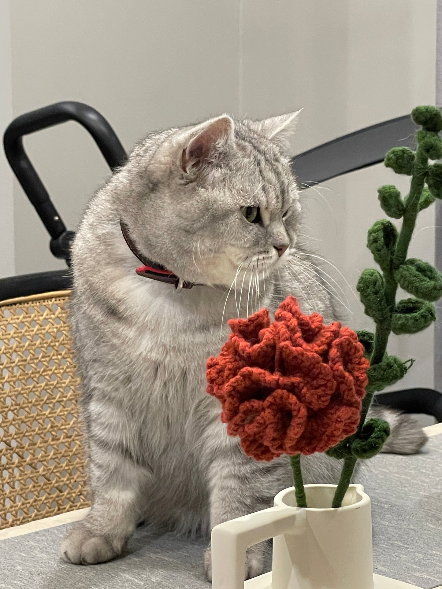 Meetjane bouquet|Melbourne handmade |Crochet Carnation