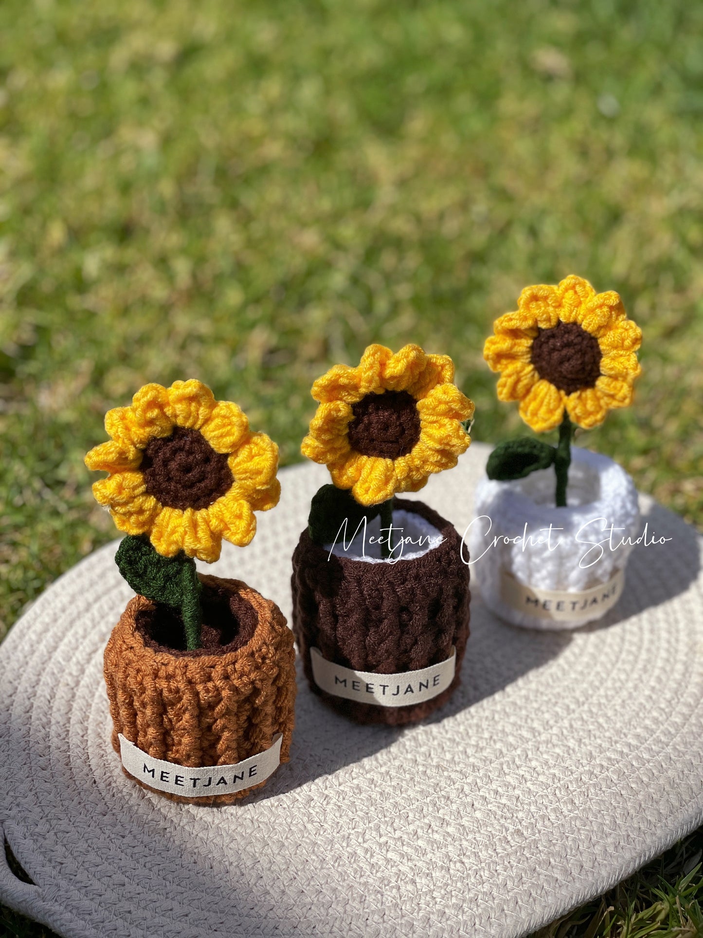 Meetjane bouquet| Melbourne handmade |Potted flowers|SUNFLOWER