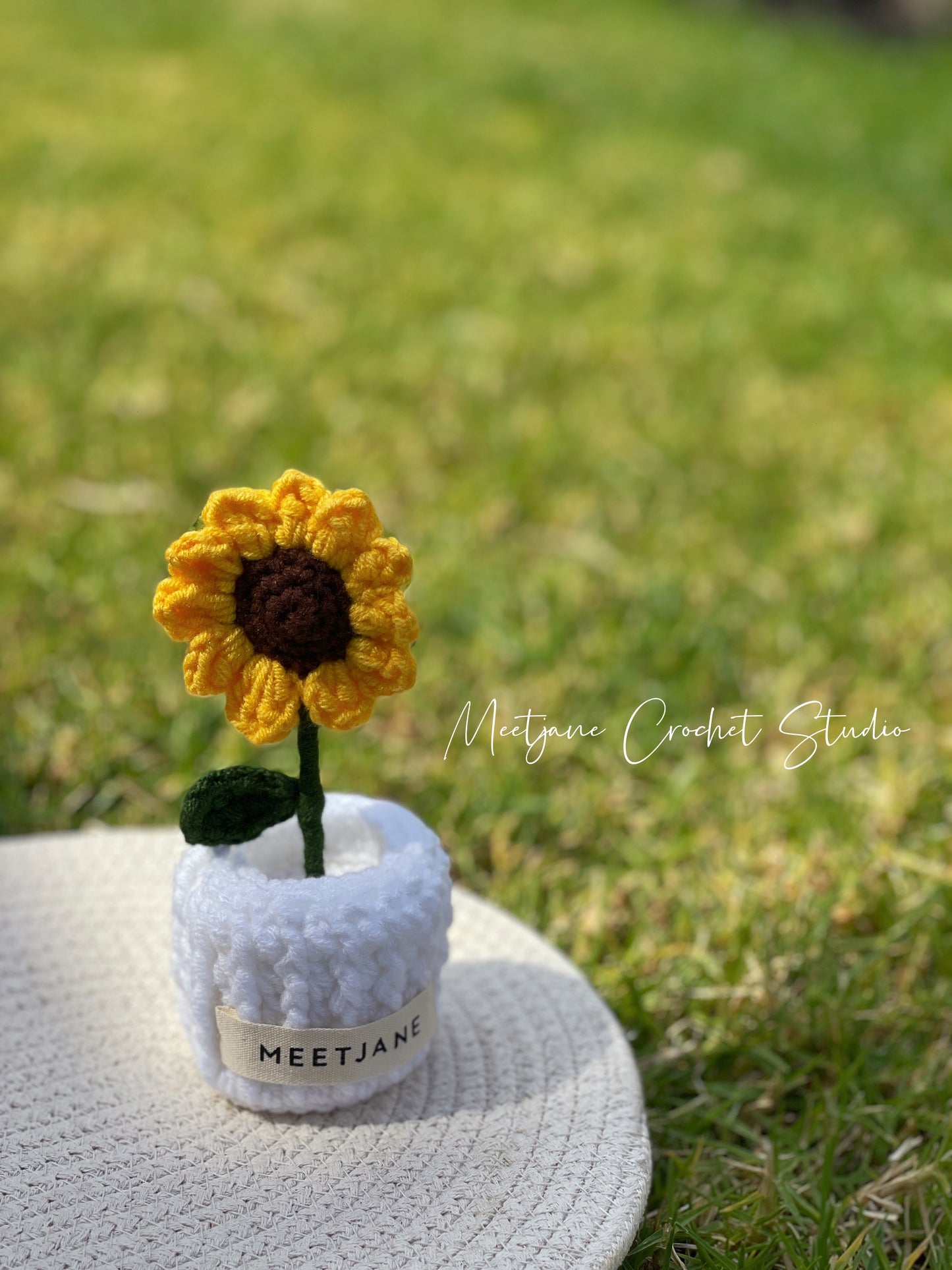 Meetjane bouquet| Melbourne handmade |Potted flowers|SUNFLOWER