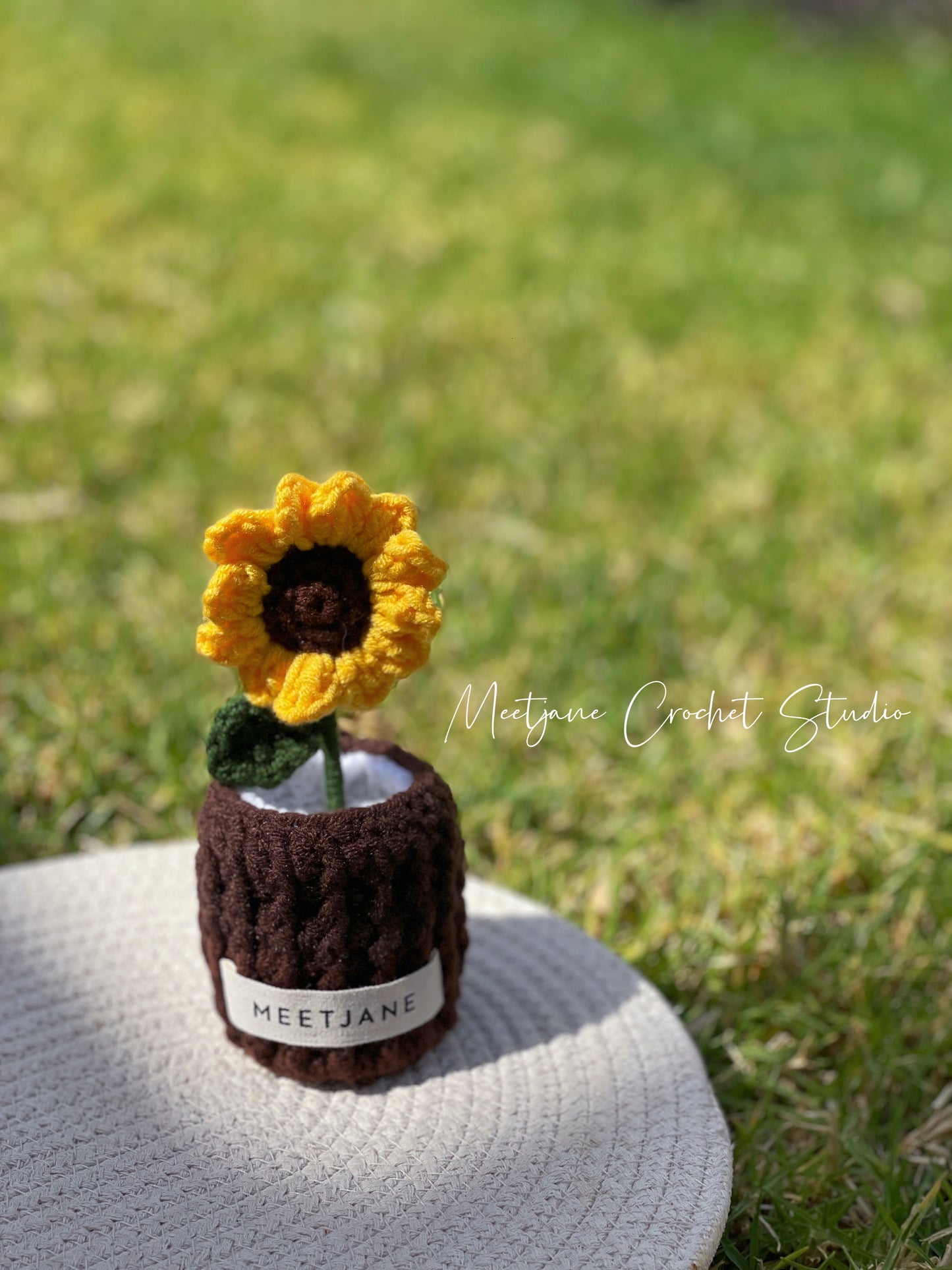 Meetjane bouquet| Melbourne handmade |Potted flowers|SUNFLOWER