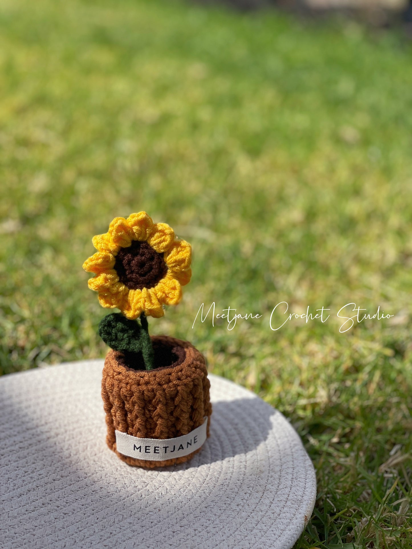 Meetjane bouquet| Melbourne handmade |Potted flowers|SUNFLOWER