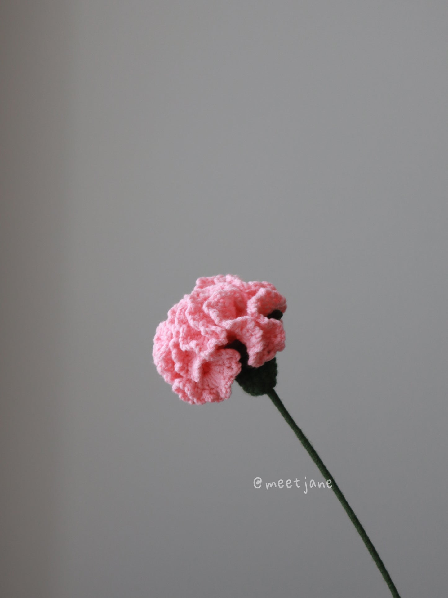 Meetjane bouquet|Melbourne handmade |Crochet Carnation