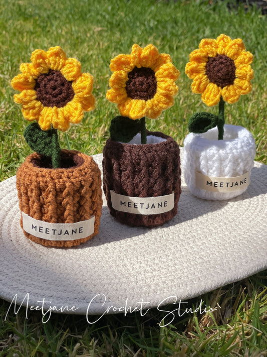 Crochet Workshop| Potted Sunflower |SATURDAY CLASS