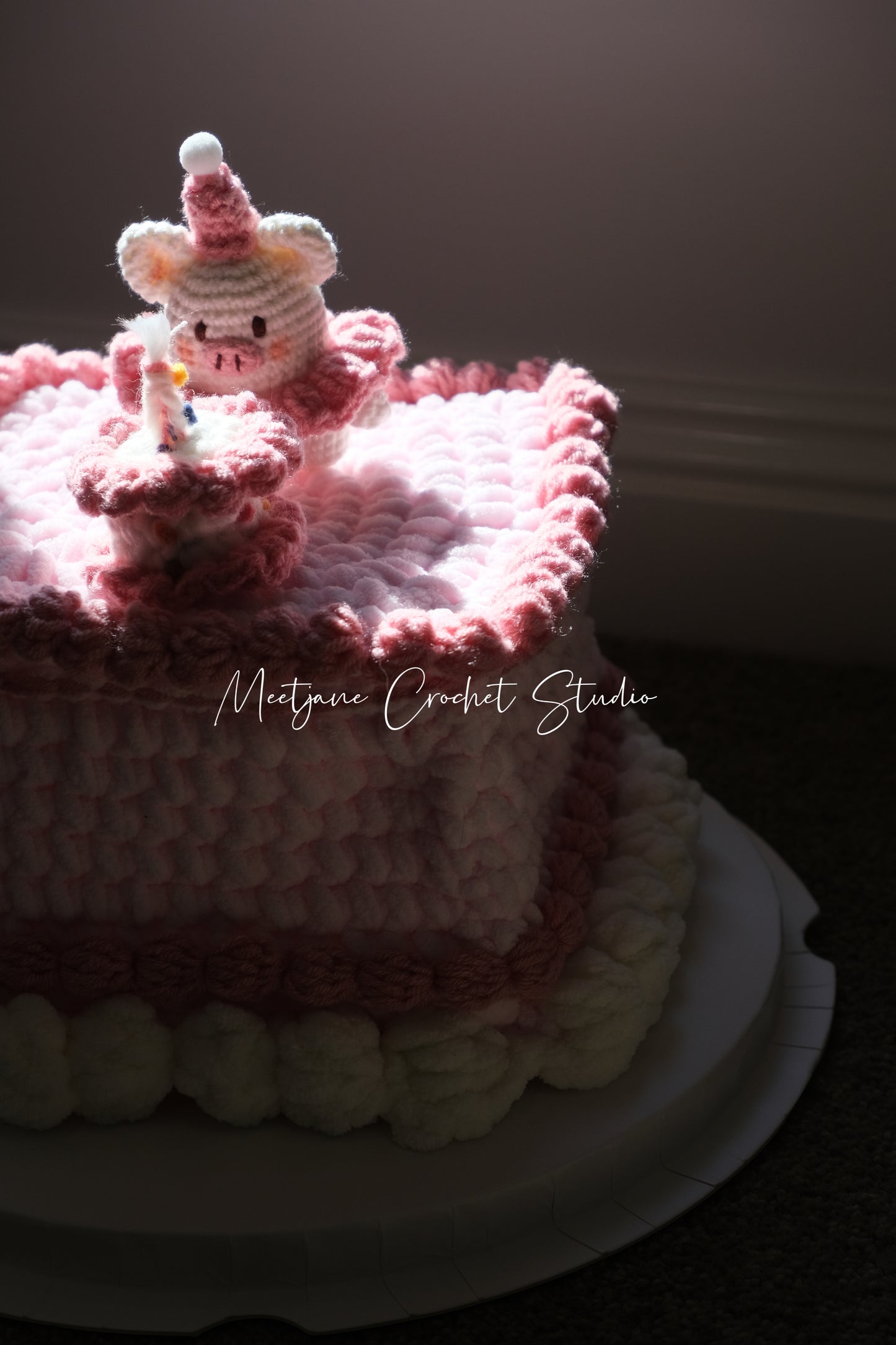 Crochet gift|Melbourne handmade|Birthday cake storage box|Pinky piggy