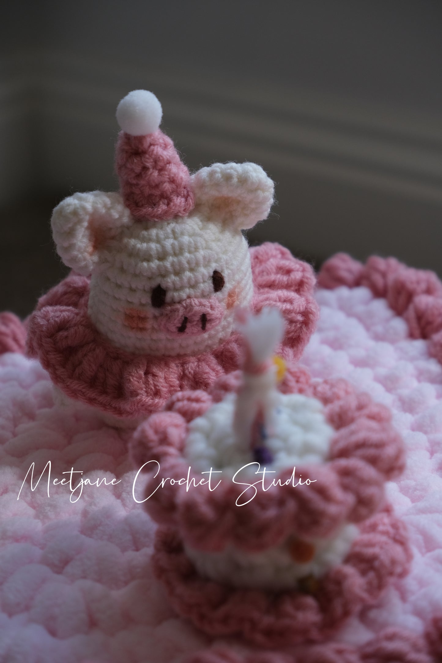 Crochet gift|Melbourne handmade|Birthday cake storage box|Pinky piggy